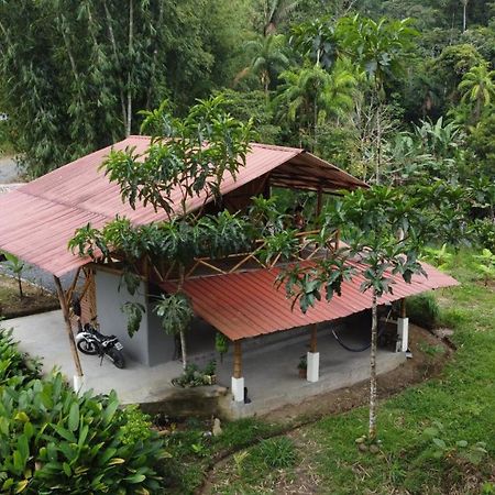 Вилла Casa En Santuario Natural En La Amazonia Веракрус Экстерьер фото