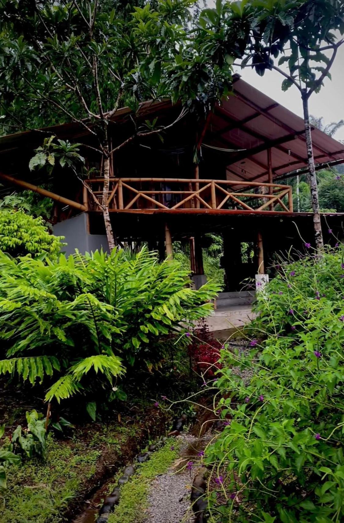 Вилла Casa En Santuario Natural En La Amazonia Веракрус Экстерьер фото