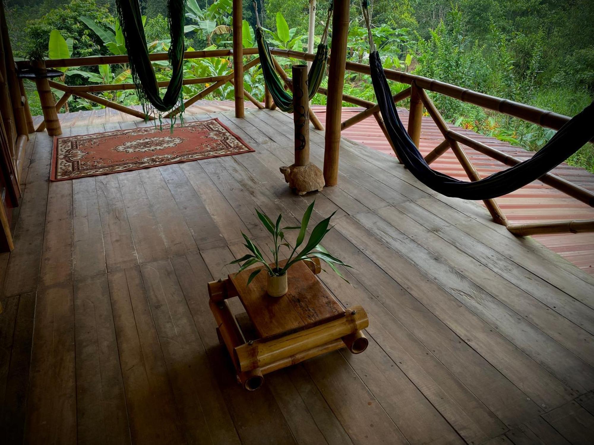 Вилла Casa En Santuario Natural En La Amazonia Веракрус Экстерьер фото