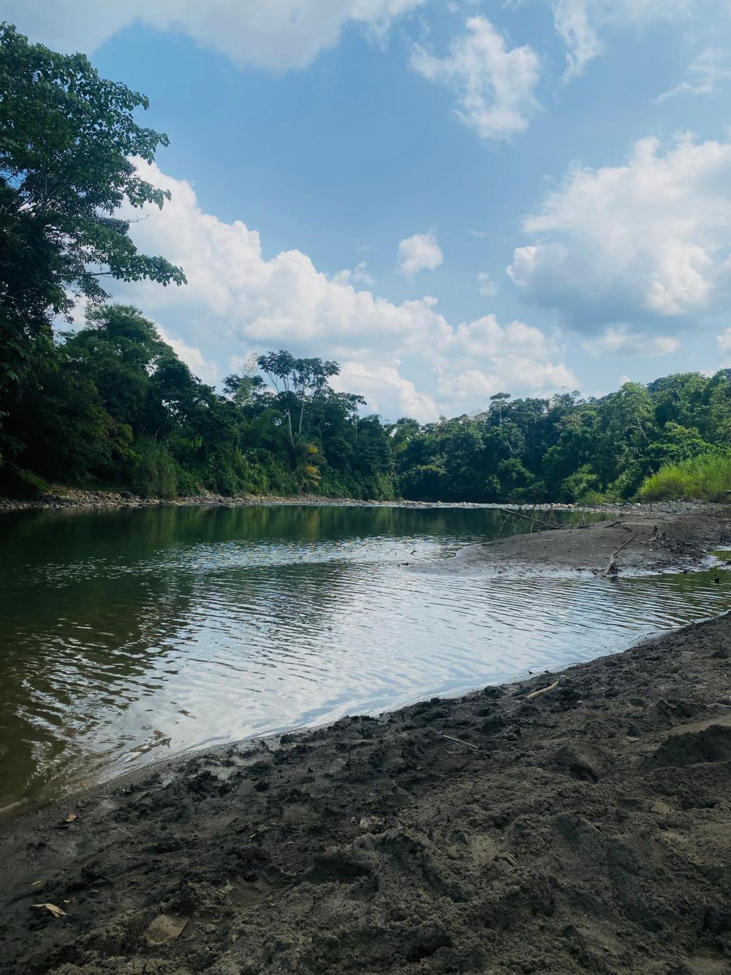 Вилла Casa En Santuario Natural En La Amazonia Веракрус Экстерьер фото