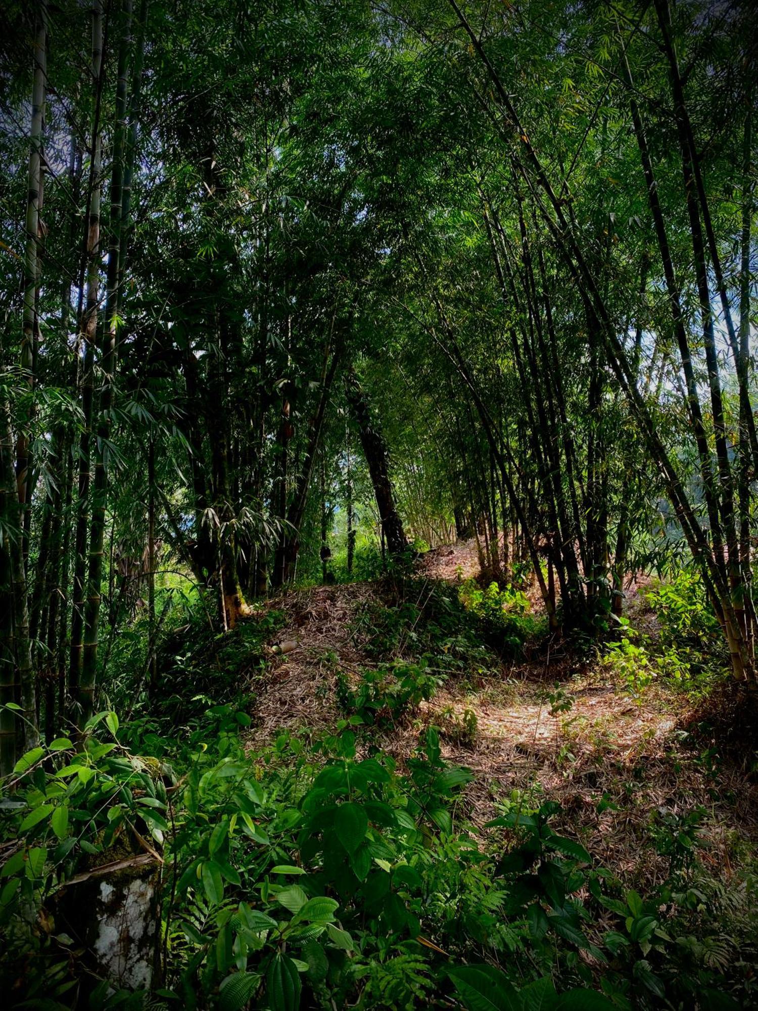 Вилла Casa En Santuario Natural En La Amazonia Веракрус Экстерьер фото