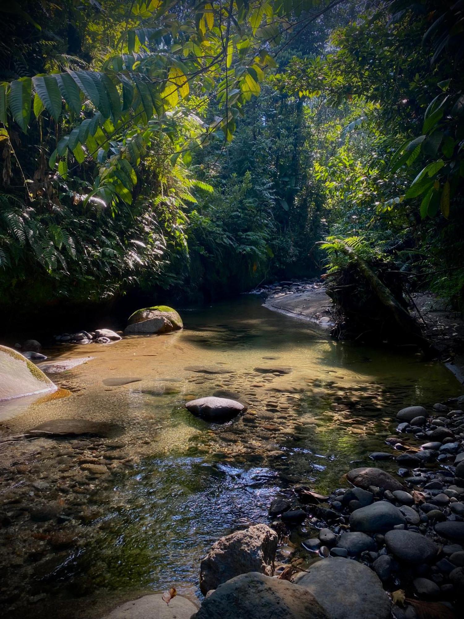 Вилла Casa En Santuario Natural En La Amazonia Веракрус Экстерьер фото